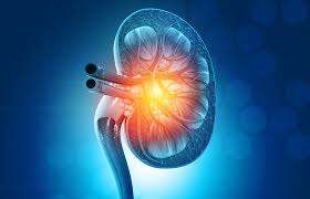 Oncology